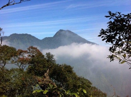 Pandangan dari Puncak 6 di atas Vila Botani
