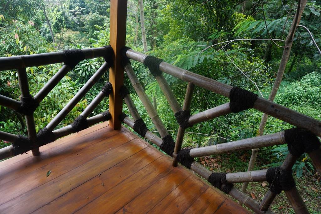 View from terrace at Manggis Jungle Lodge,Vila Botani